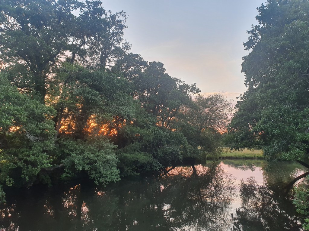 This image has an empty alt attribute; its file name is 20210630_211621-1.jpg